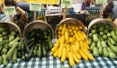 Zucchini auf dem Bauernmarkt
